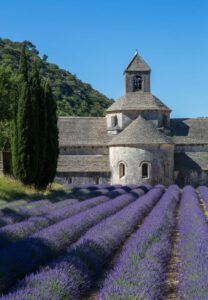 Abbazia di Senanque