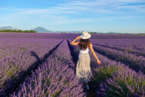 Valensole