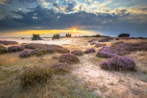 Hoge Veluwe National Park