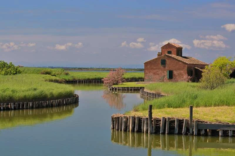 Valli di Comacchio